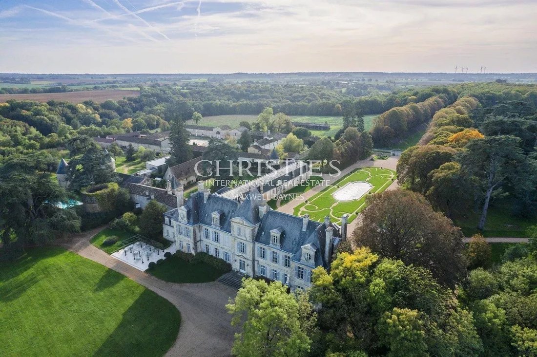 Castle in Curzay-sur-Vonne, Nouvelle-Aquitaine, France 4 - 14847609