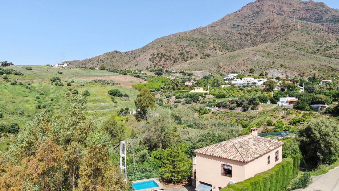 Finca in Estepona, Andalusia, Spain 3 - 15555620