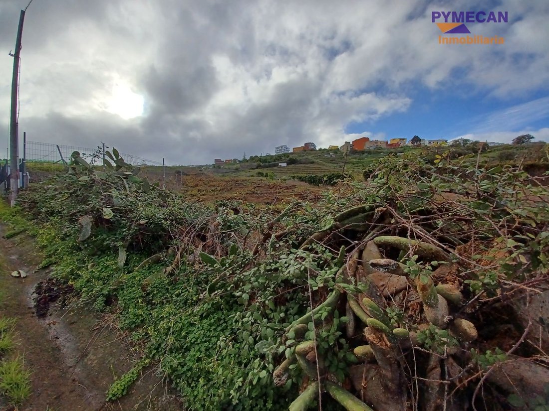 Land in El Sauzal, Canary Islands, Spain 5 - 15556247