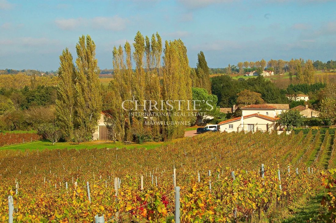 Farm Ranch in Blaye, Nouvelle-Aquitaine, France 1 - 15267469