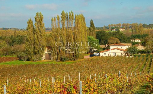 Farm Ranch in Blaye, Nouvelle-Aquitaine, France 1