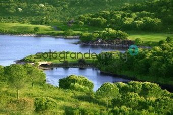 Land in Sotogrande, San Roque, Andalusia 4 - 15556558