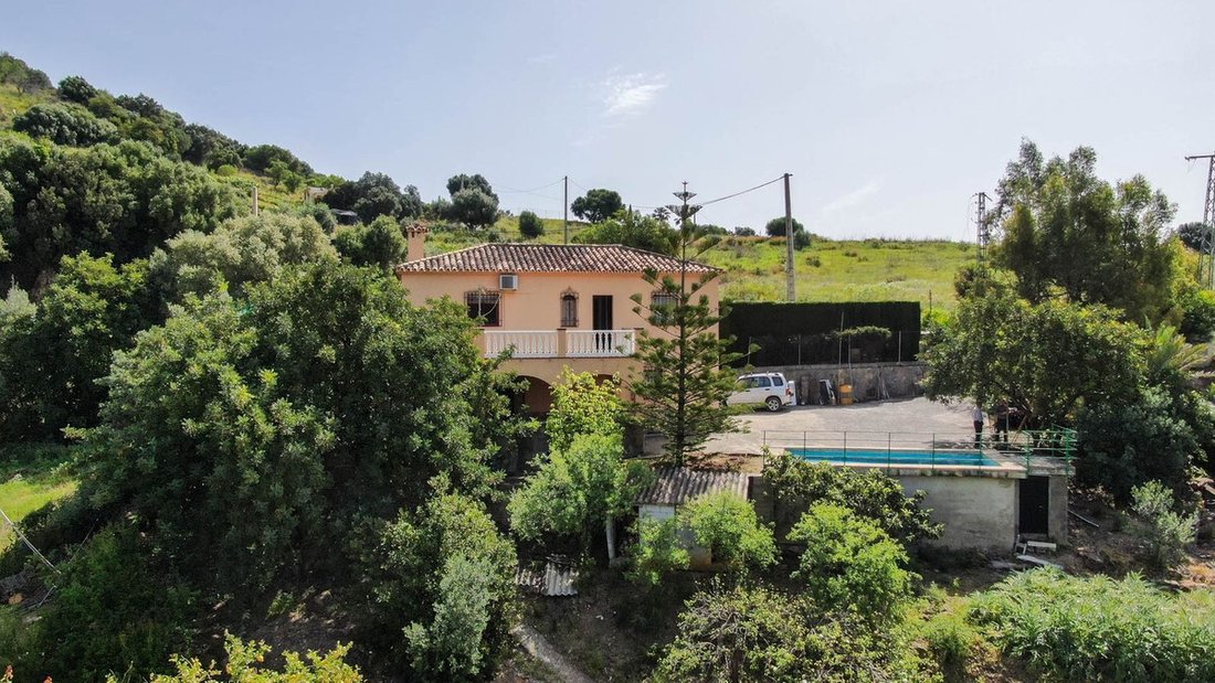 Finca in Estepona, Andalusia, Spain 4 - 15555620