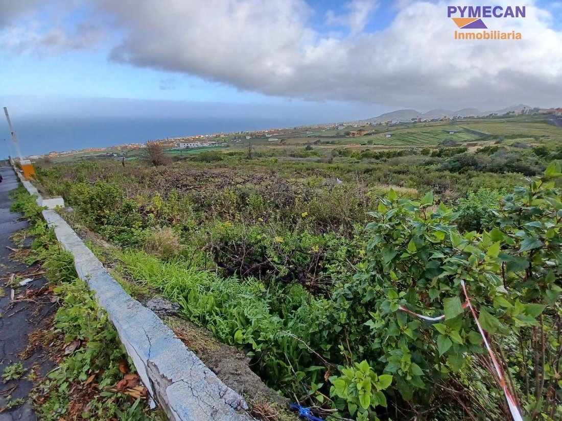 Land in El Sauzal, Canary Islands, Spain 4 - 15556247