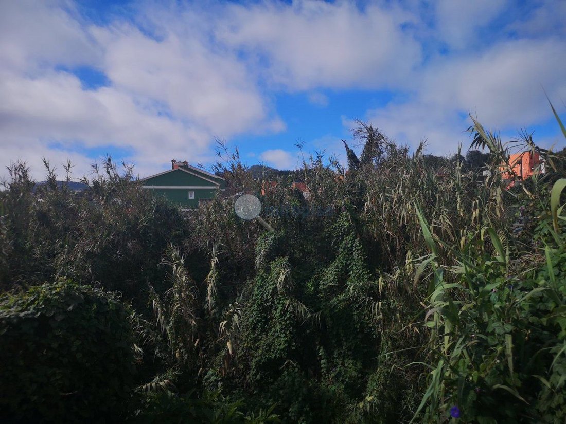 Land in La Matanza de Acentejo, Canary Islands, Spain 2 - 15557014