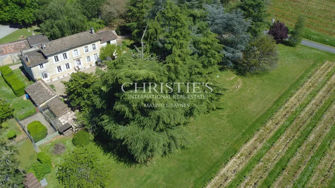 Farm Ranch in Saint-Magne-de-Castillon, Nouvelle-Aquitaine, France 1 - 13888483