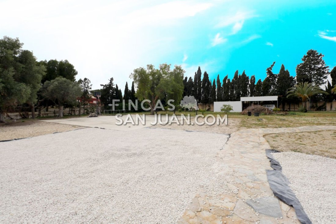 Chalet in San Juan Playa, Alicante, Valencian Community 3 - 15556652