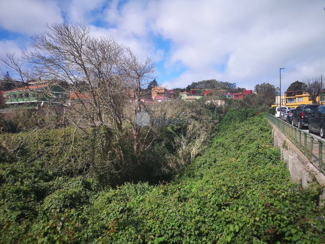 Land in La Matanza de Acentejo, Canary Islands, Spain 1 - 15557014