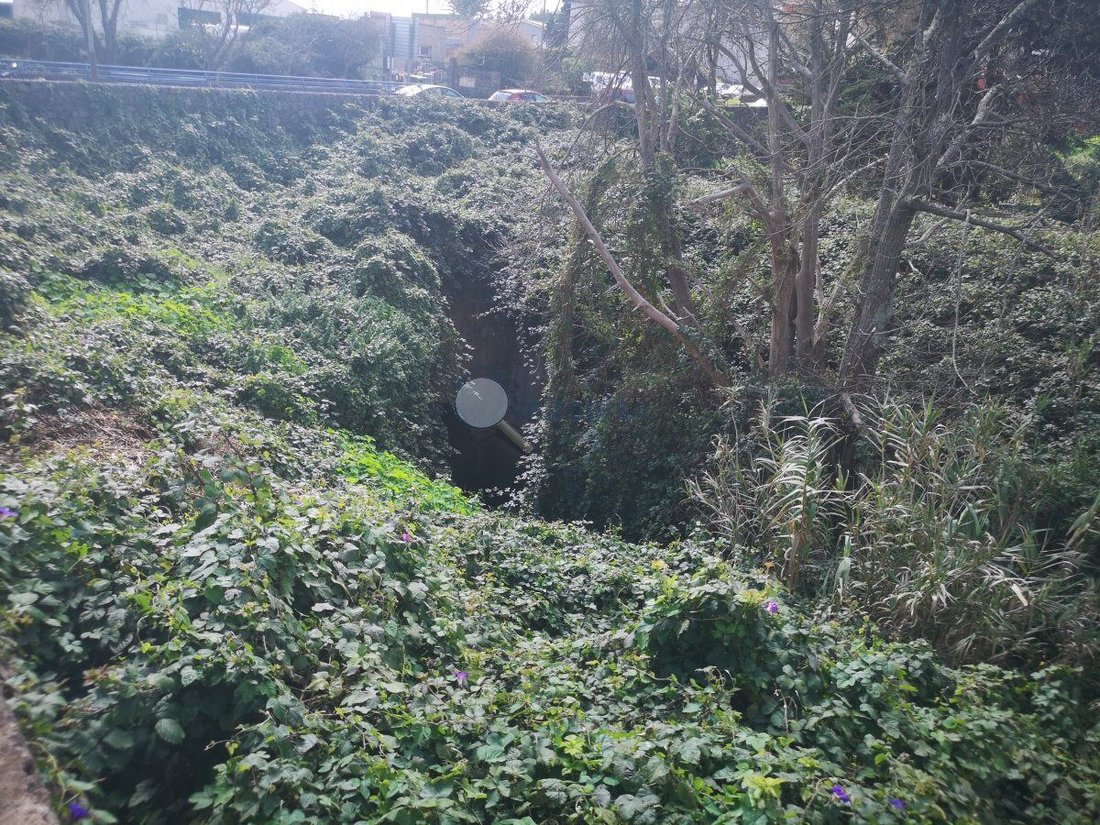 Land in La Matanza de Acentejo, Canary Islands, Spain 5 - 15557014