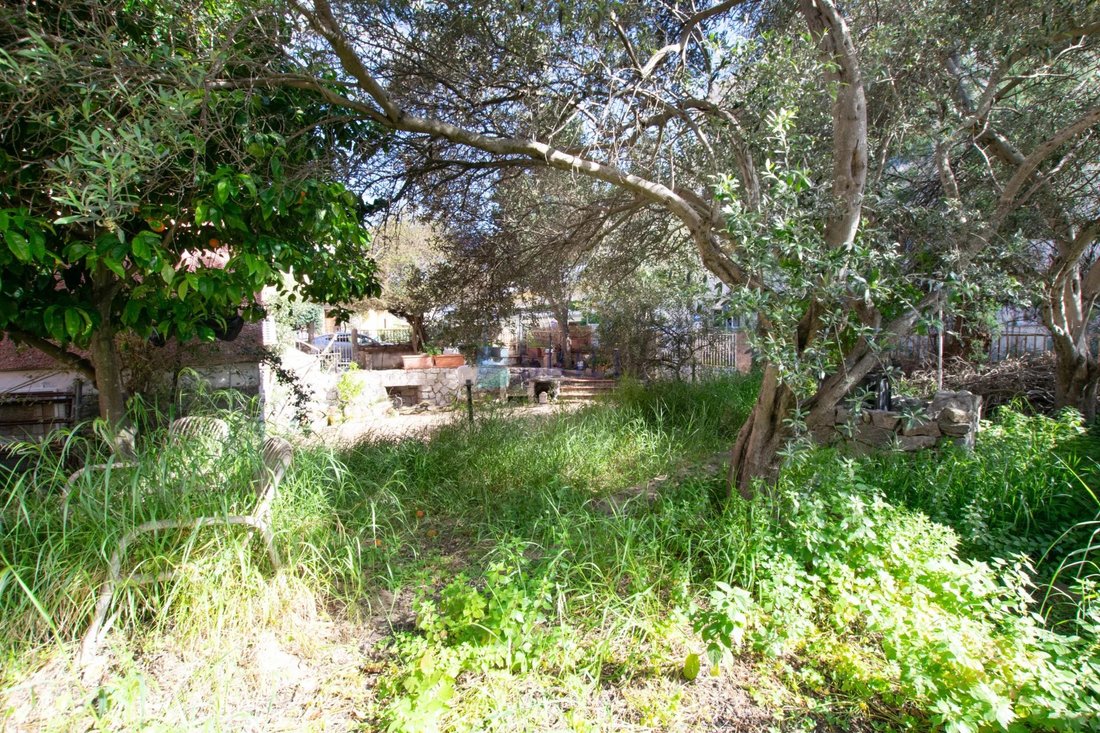 Villa in Golfo Aranci, Sardinia, Italy 5 - 15555590