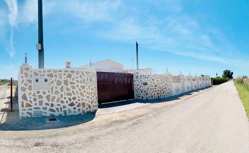 Azienda agricola a Alicante, Comunità Valenzana, Spagna 1