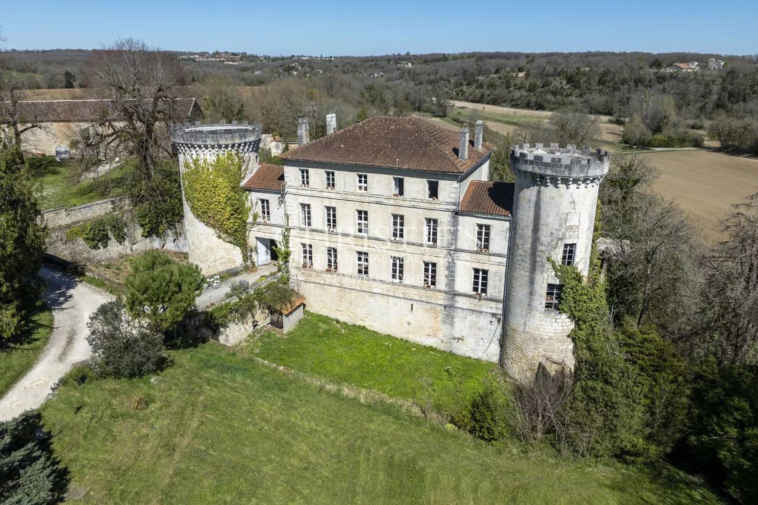 Castle in Dirac, Nouvelle-Aquitaine, France 3 - 15489601