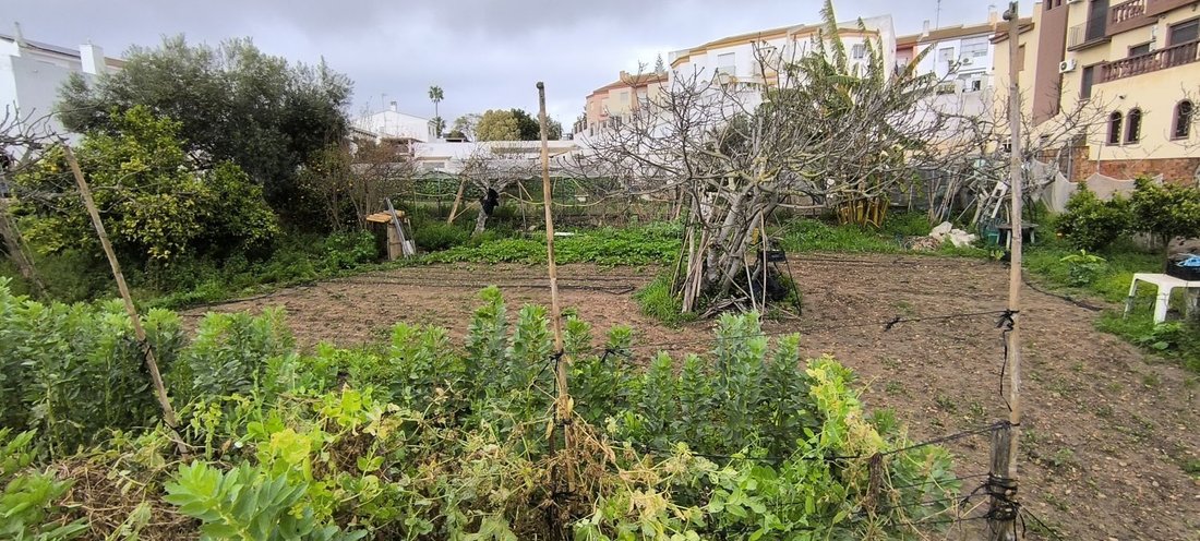 House in Ayamonte, Andalusia, Spain 1 - 15557607