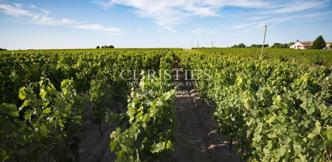 Farm Ranch in Branne, Nouvelle-Aquitaine, France 1 - 13714039