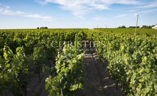 Farm Ranch in Branne, Nouvelle-Aquitaine, France 1
