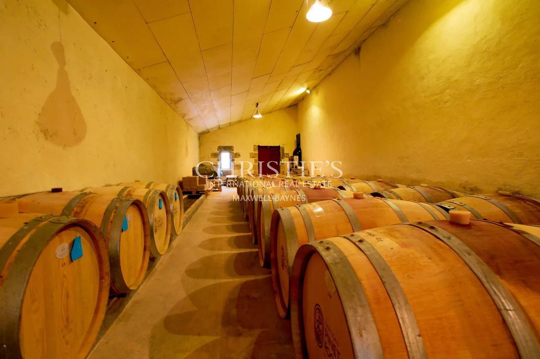 Farm Ranch in Blaye, Nouvelle-Aquitaine, France 5 - 15267469