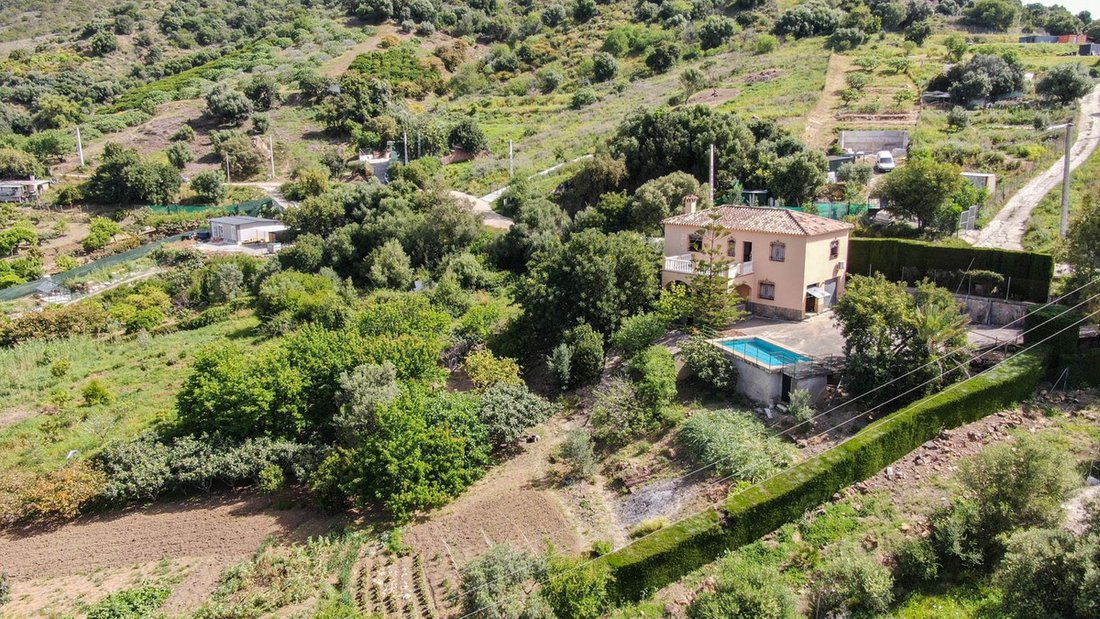 Finca in Estepona, Andalusia, Spain 2 - 15555620