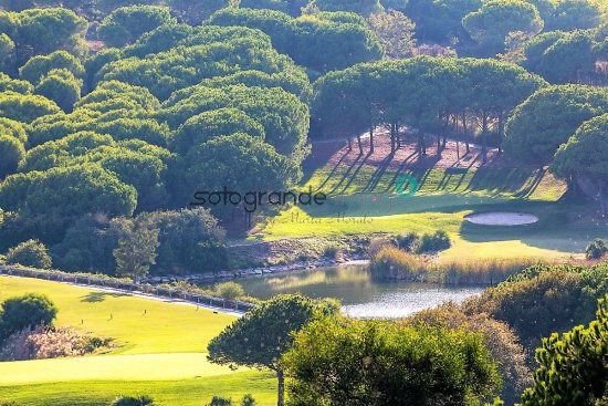 Land in Sotogrande, San Roque, Andalusia 3 - 15556558