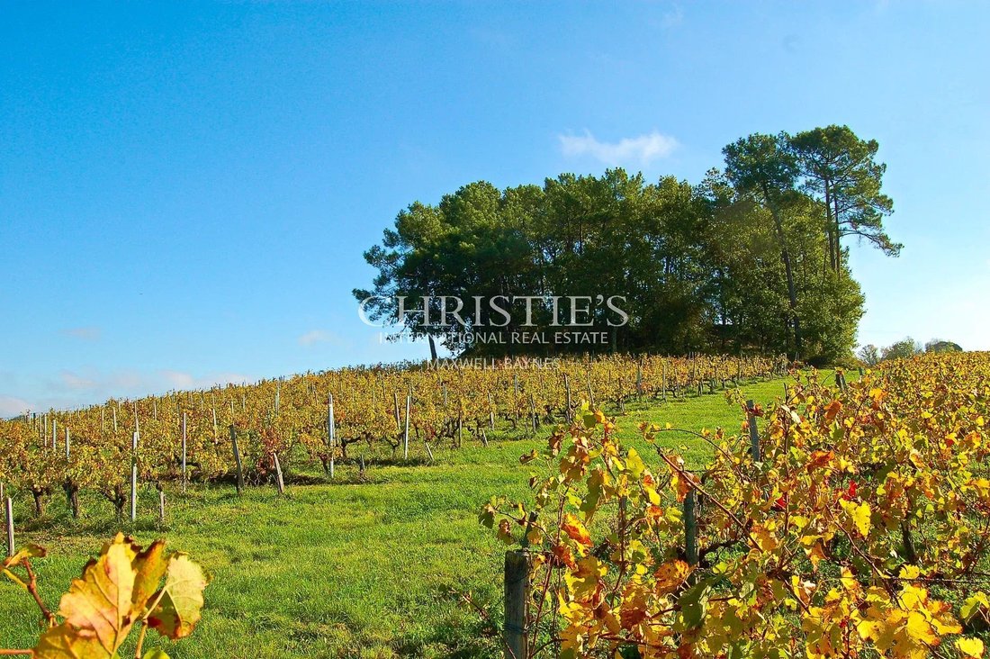 Farm Ranch in Blaye, Nouvelle-Aquitaine, France 2 - 15267469