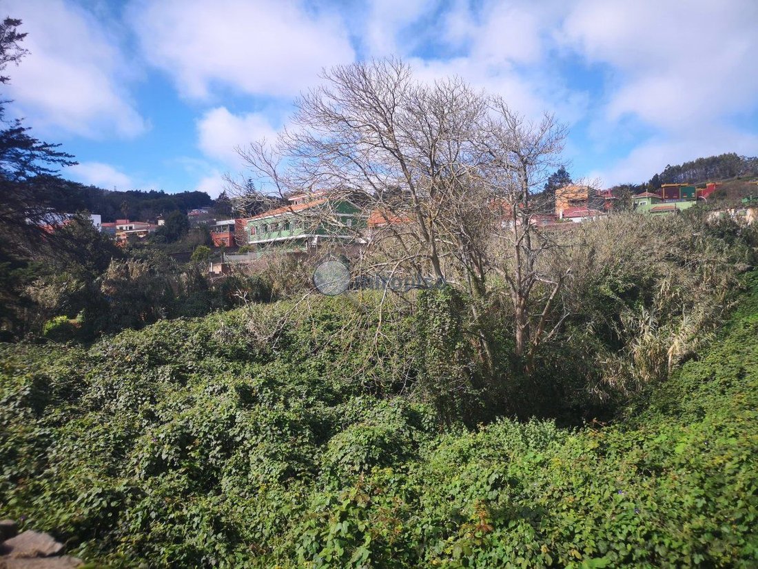 Land in La Matanza de Acentejo, Canary Islands, Spain 4 - 15557014