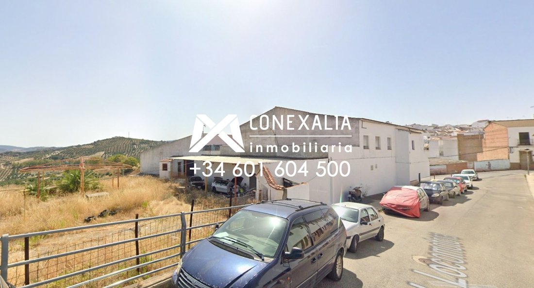 Haus in Olvera, Andalusien, Spanien 4 - 15557400