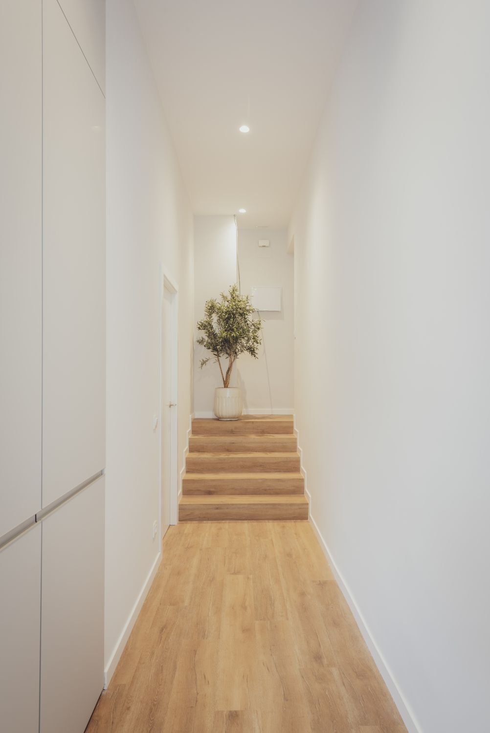 Apartment in Madrid, Community of Madrid, Spain 2 - 15557052