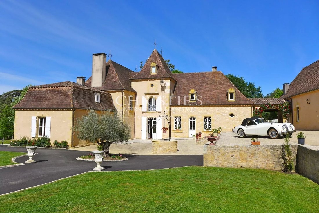 Castle in Le Bugue, Nouvelle-Aquitaine, France 2 - 13733931