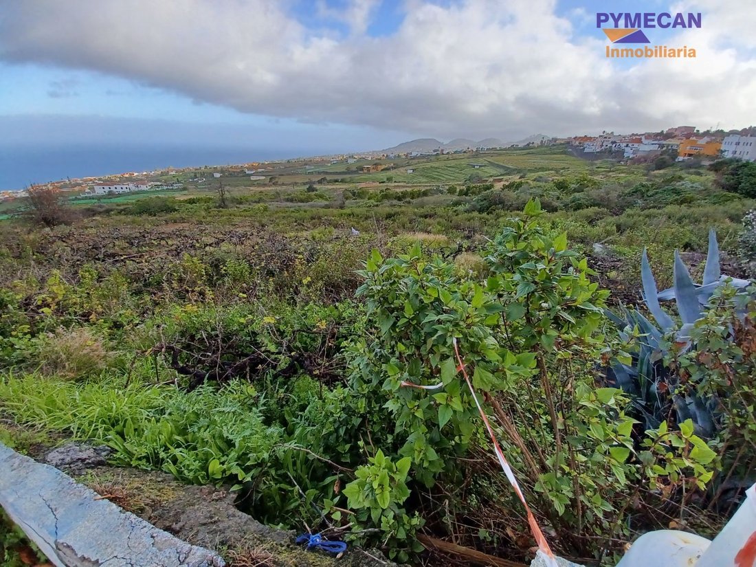 Land in El Sauzal, Canary Islands, Spain 3 - 15556247