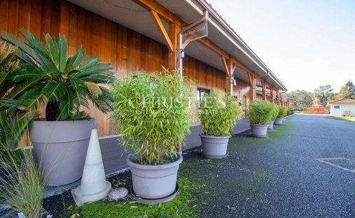 Castle for Sale in Casteljaloux, Nouvelle-Aquitaine, France
