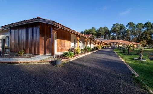 Castle for Sale in Casteljaloux, Nouvelle-Aquitaine, France