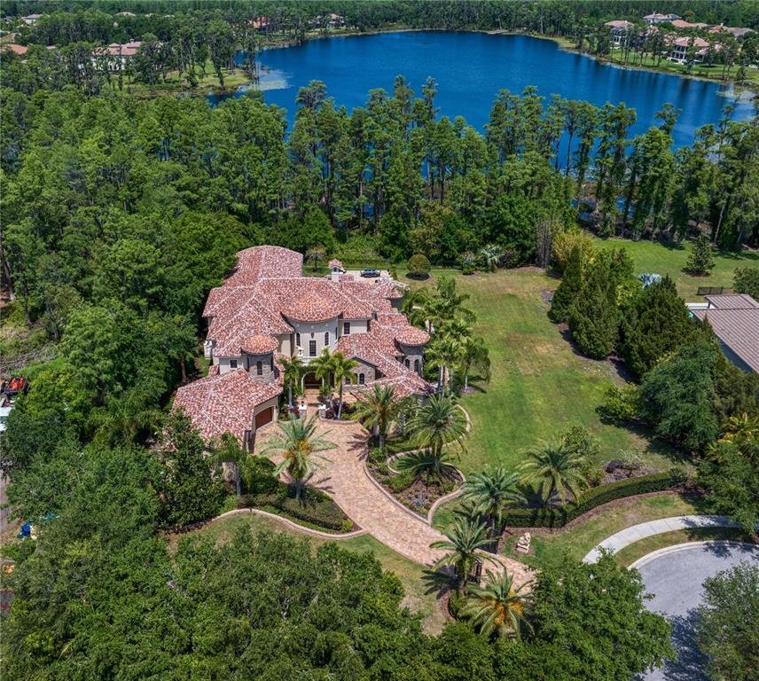 House in Lutz, Florida, United States 1 - 15558152