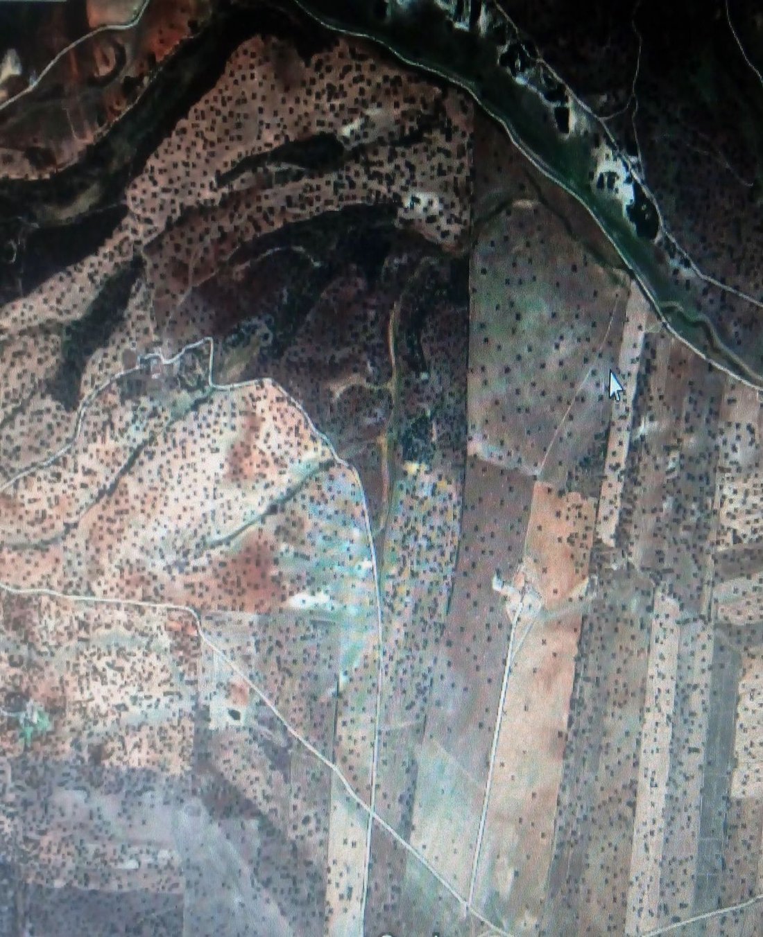 Land in Spain 1 - 15556650