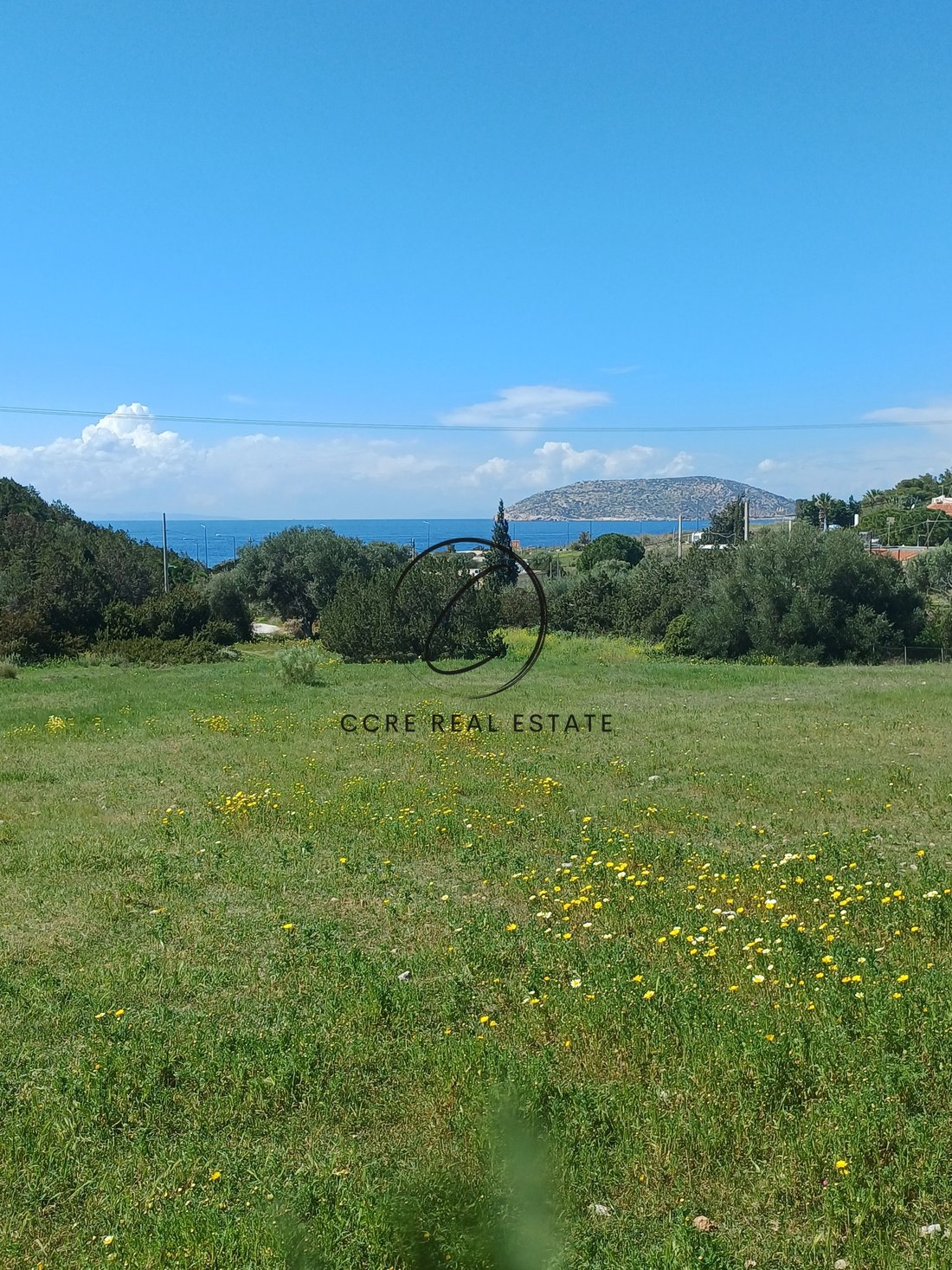 Land in Palea Fokea, Attica, Greece 4 - 13944643