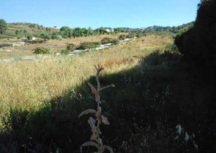 Terrain à Coín, Andalousie, Espagne 4 - 15557048