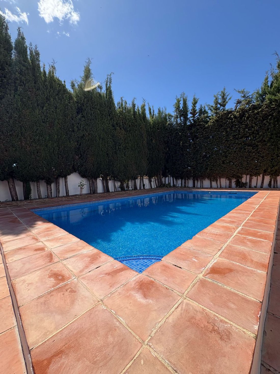 House in San Pedro de Alcantara, Andalusia, Spain 2 - 15557529