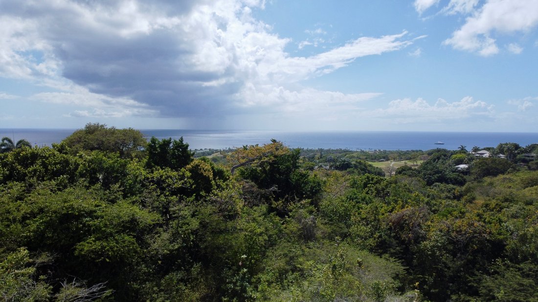 Land in Vaughans, Saint Thomas Lowland Parish, Saint Kitts and Nevis 3 - 15558166