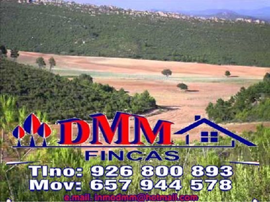 Farm Ranch in Ciudad Real, Castile-La Mancha, Spain 1 - 15557303