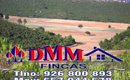 Farm Ranch in Ciudad Real, Castile-La Mancha, Spain 1
