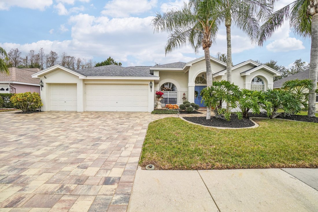 House in Trinity, Florida, United States 3 - 15558551