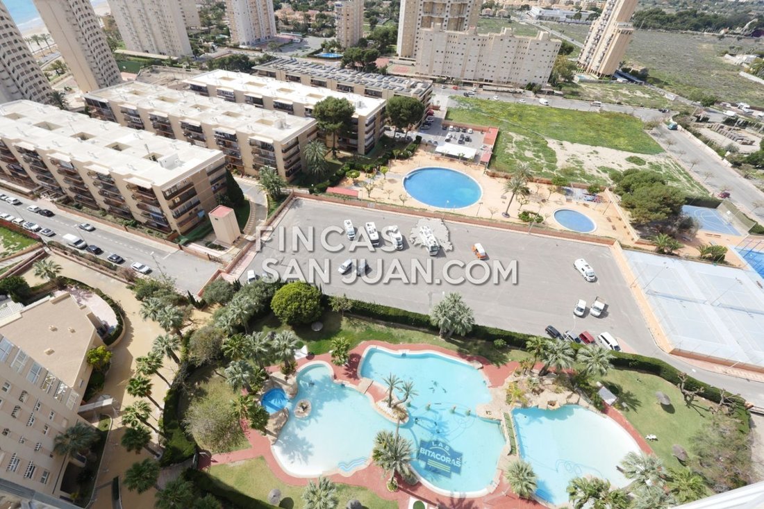 Apartment in el Campello, Valencian Community, Spain 3 - 15556606