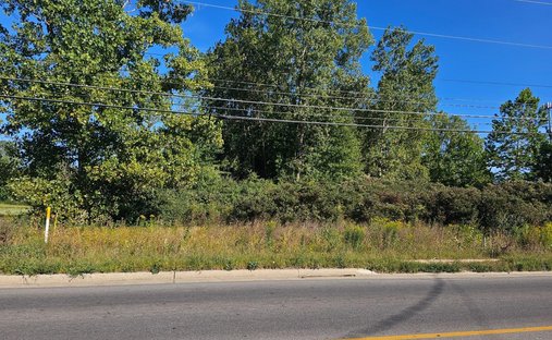 Land for Sale in Olena Ohio United - 507x312xc 