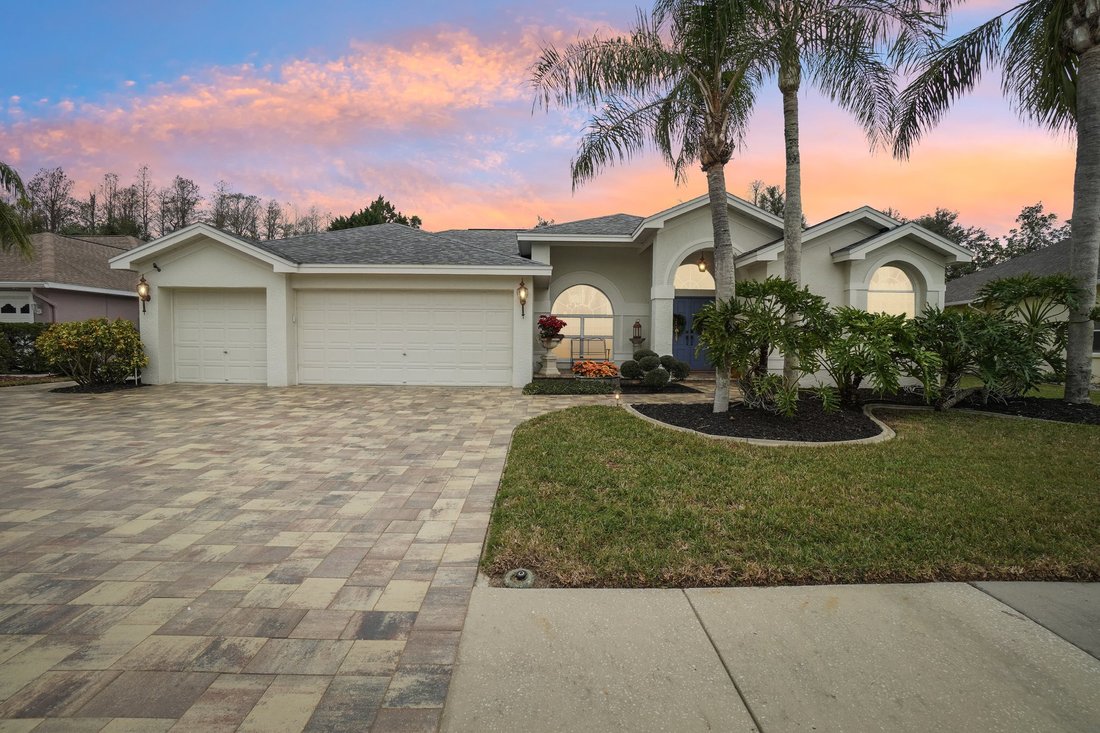 House in Trinity, Florida, United States 1 - 15558551