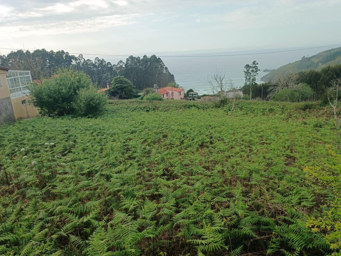 Terreno a La Coruña, Galizia, Spagna 4 - 15558437