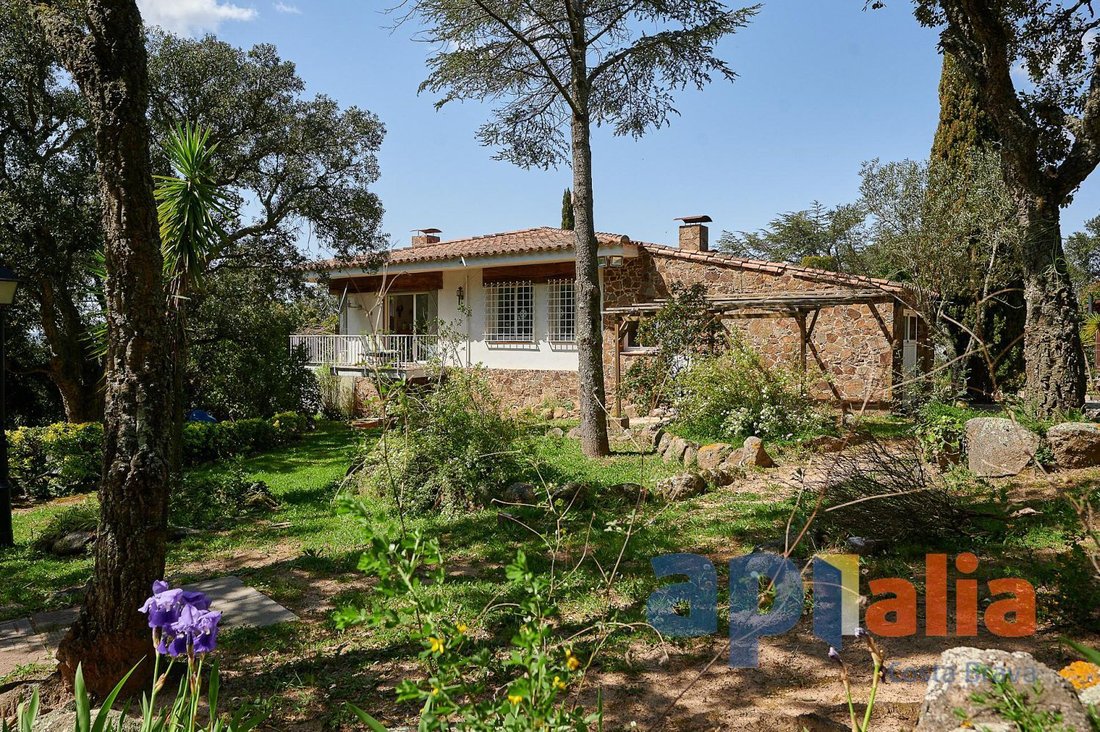 Chalet in Santa Cristina d'Aro, Catalonia, Spain 3 - 15557374