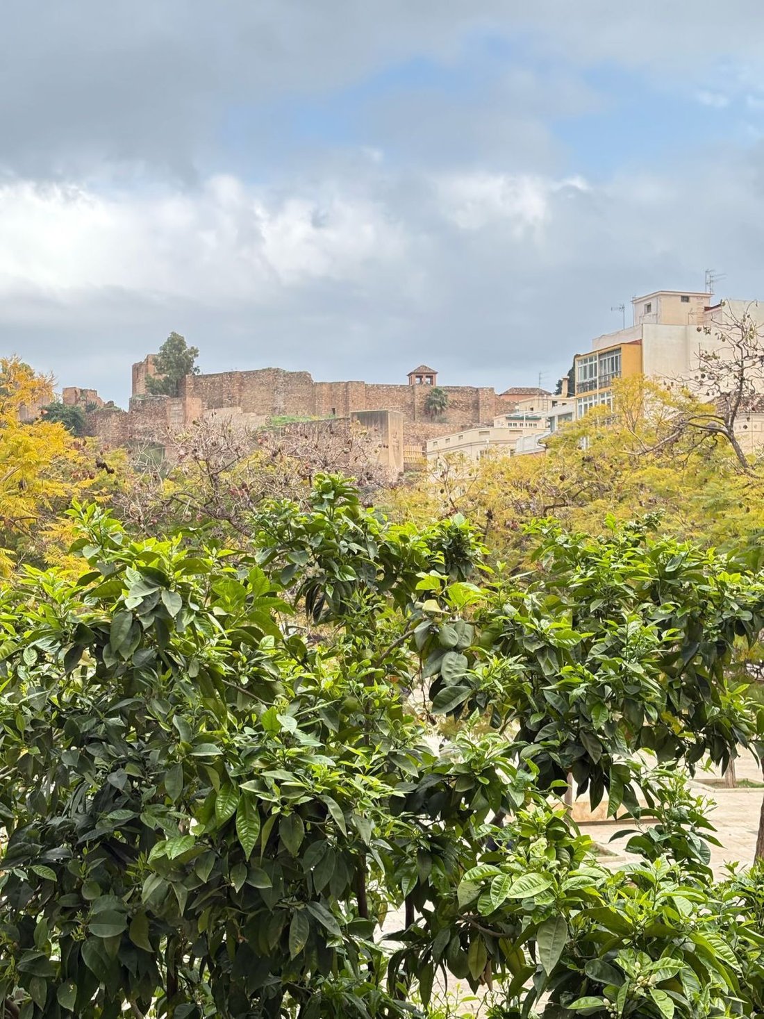 Apartment in Centro, Malaga, Spain 3 - 15557826