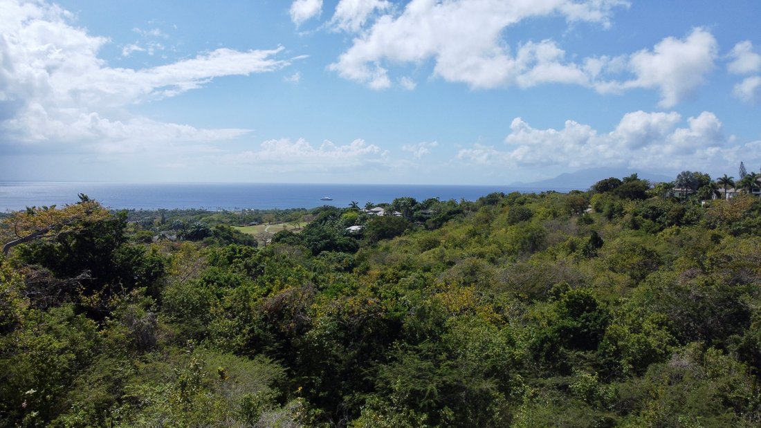 Land in Vaughans, Saint Thomas Lowland Parish, Saint Kitts and Nevis 1 - 15558166