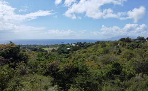 Land in Vaughans, Saint Thomas Lowland Parish, Saint Kitts and Nevis 1