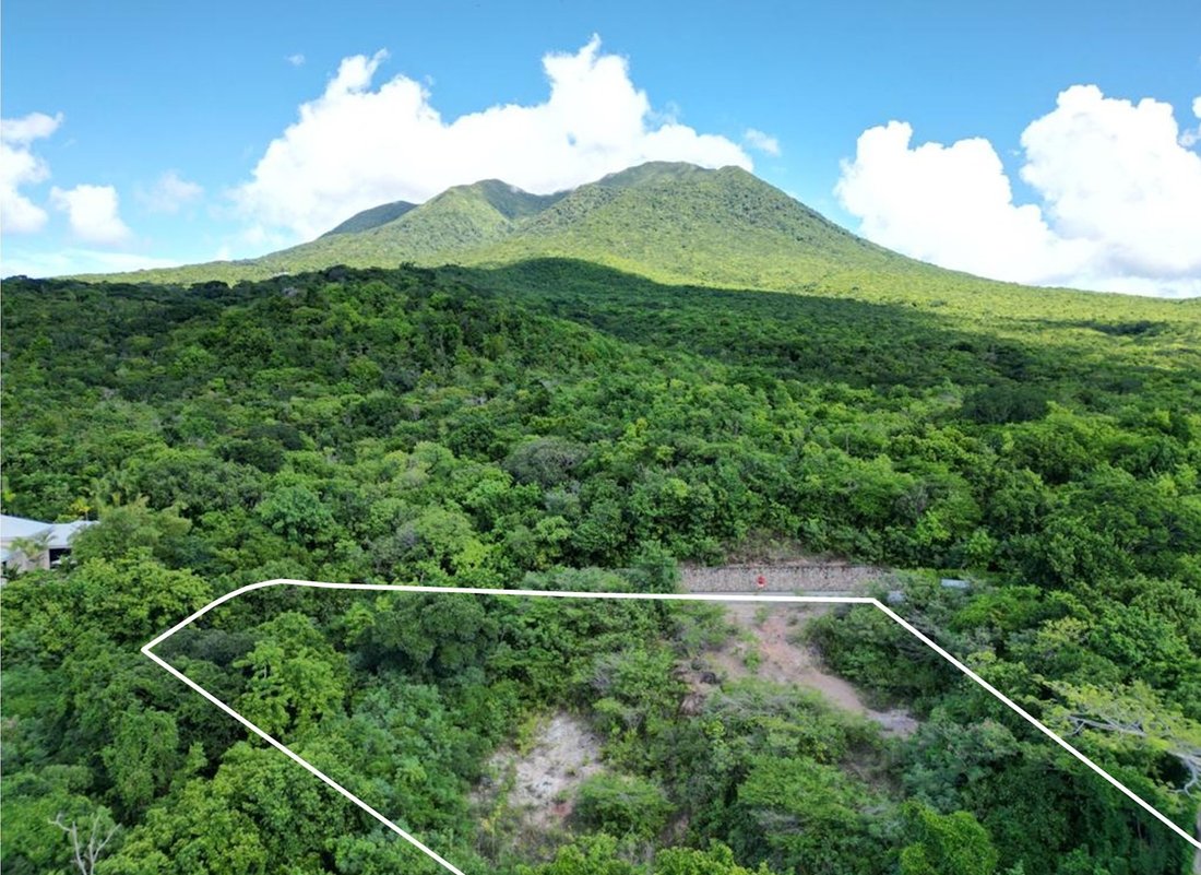 Land in Vaughans, Saint Thomas Lowland Parish, Saint Kitts and Nevis 5 - 15558166