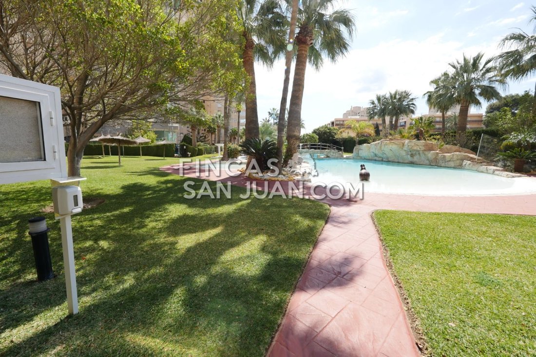 Apartment in el Campello, Valencian Community, Spain 1 - 15556606