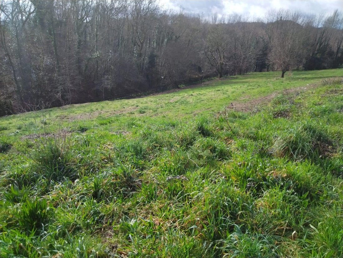 Terreno a La Coruña, Galizia, Spagna 4 - 15558440